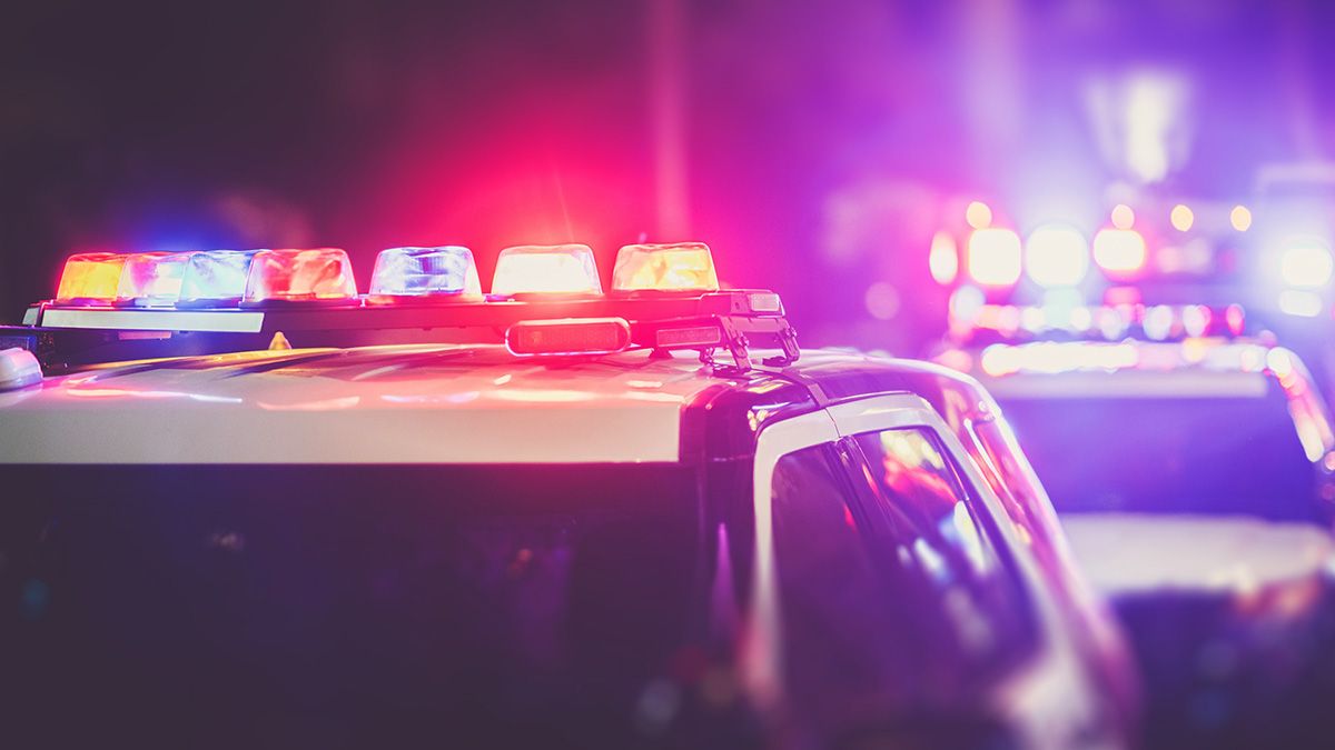 
                    police cars with flashing lights at night