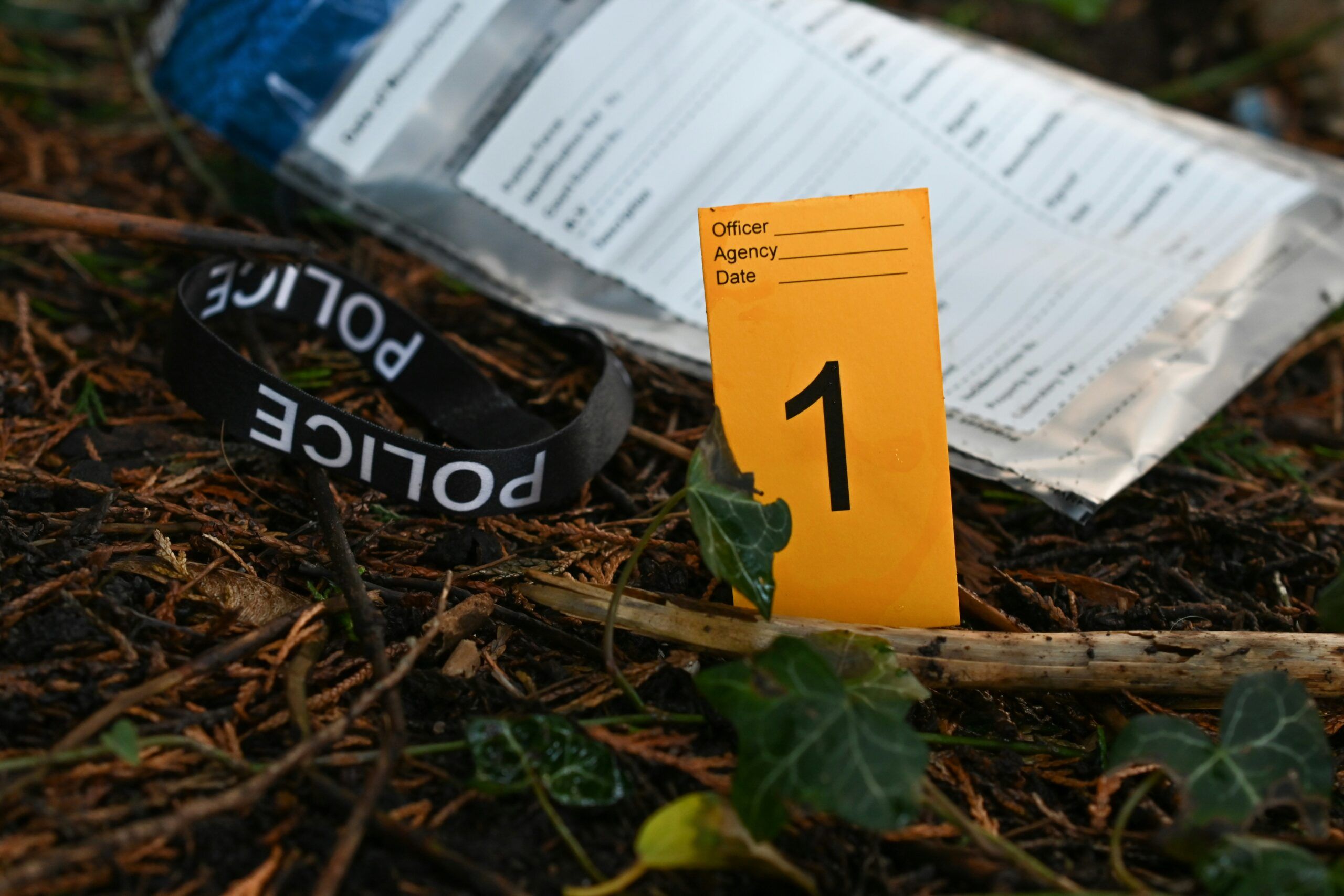 a crime scene in the woods with a small yellow envelope labeled "1" and a bag for evidence behind it