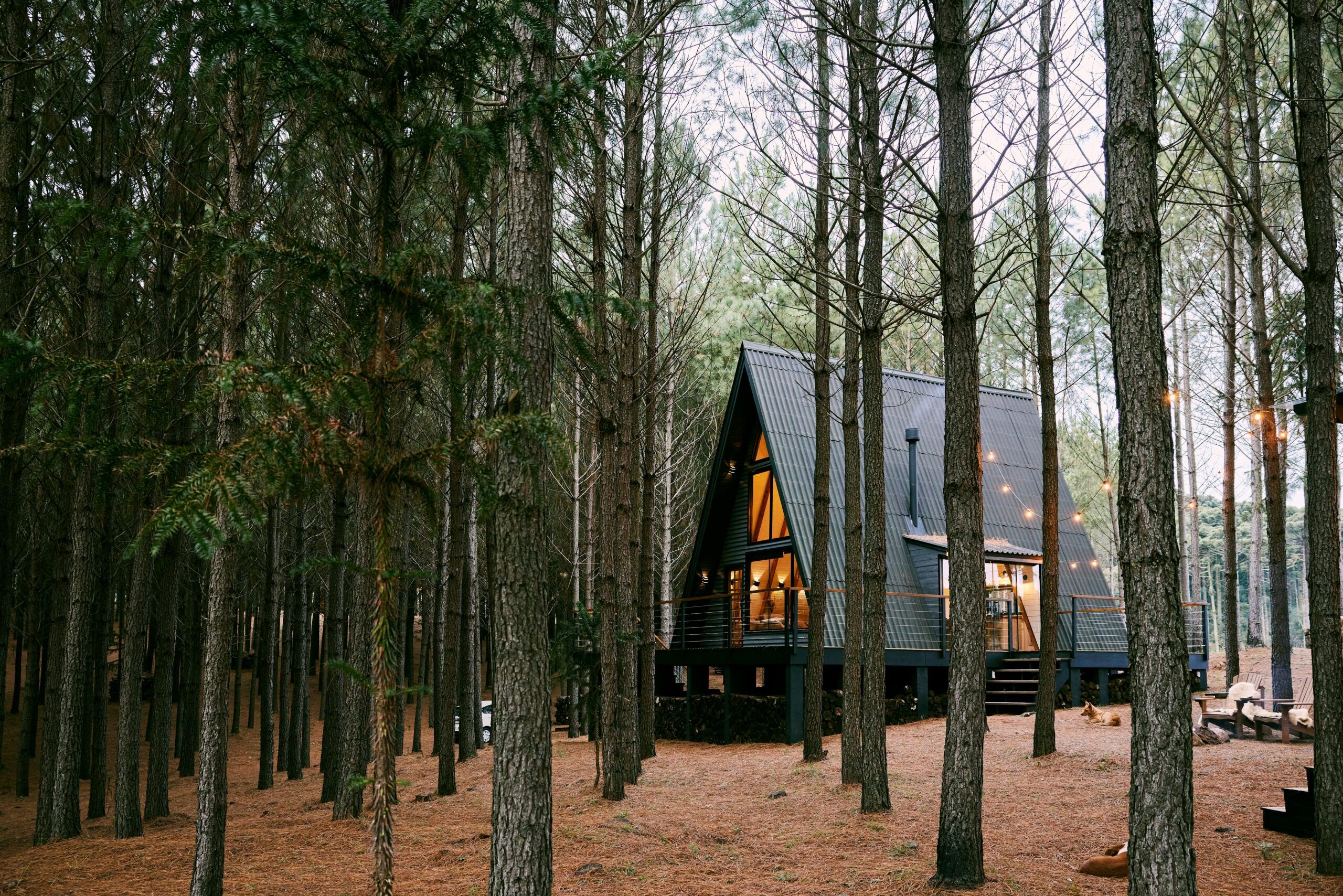 A cozy cabin nestled in a forest, surrounded by tall trees and lush greenery.